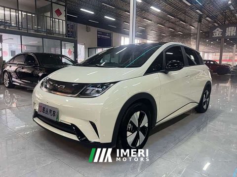 2023 BYD Dolphin 420km Fashion Edition - ავტომობილი ჩინეთიდან
