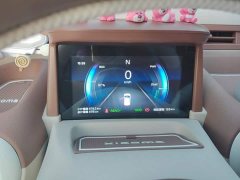 FAW Besturn Xiaoma 222km Colorful Edition - ფოტო 14