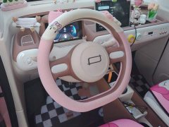 FAW Besturn Xiaoma 222km Colorful Edition - ფოტო 15