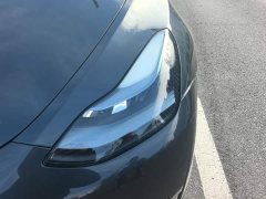 Tesla Model Y Rear-Wheel Drive - photo 5