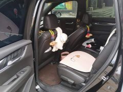 Cadillac XT6 2.0T Six-Seat AWD Luxury Standard Edition - ფოტო 11