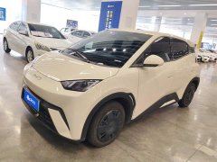 BYD Seagull 305km Vitality Edition - ფოტო 1