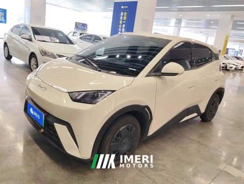 2025 BYD Seagull 305km Vitality Edition - ავტომობილი ჩინეთიდან
