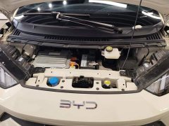 BYD Seagull 305km Vitality Edition - ფოტო 10