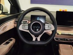 BYD Seagull 305km Vitality Edition - ფოტო 15