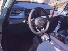 Geely Geometry E Firefly 401KM Linglong Tiger 4-Seater - photo 12