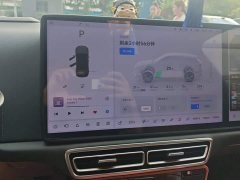 Li Auto L6 Pro - ფოტო 13
