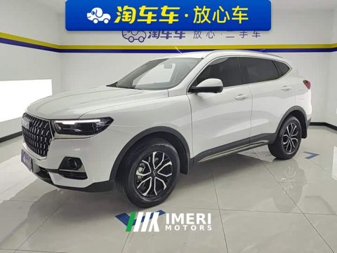 2024 Haval H6 National Trend Edition 1.5T Automatic Urban Version - ავტომობილი ჩინეთიდან