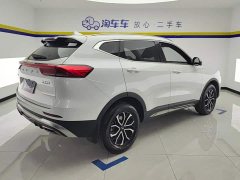 Haval H6 National Trend Edition 1.5T Automatic Urban Version - ფოტო 3