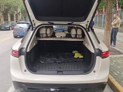 Voyah Lantu Zhiyin Ultra-Long Range Qiankun Edition - ფოტო 4