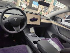 Tesla Model Y Rear-Wheel Drive - photo 12