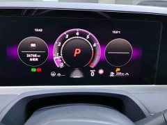 Volkswagen Magotan 300TSI DSG Prestige Edition with Eye-Catching Package - ფოტო 14