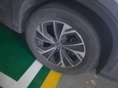 BYD Song Pro New Energy 2nd Gen DM-i 75KM Leading Edition - ფოტო 6