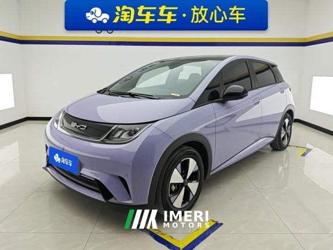 2023 BYD Dolphin 420km Fashion Edition - ავტომობილი ჩინეთიდან