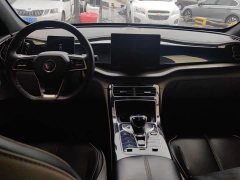 BYD Qin Plus DM-i 55KM Flagship - ფოტო 12