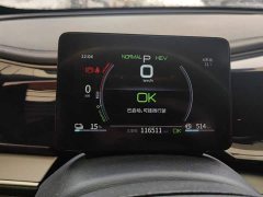 BYD Qin Plus DM-i 55KM Flagship - ფოტო 14