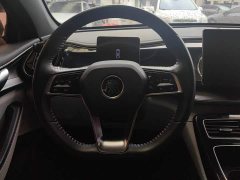 BYD Qin Plus DM-i 55KM Flagship - ფოტო 15