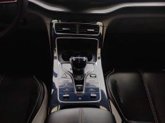 BYD Qin Plus DM-i 55KM Flagship - ფოტო 16
