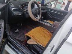 Geely Emgrand 4th Generation Champion Edition 1.5L CVT Luxury - ფოტო 9
