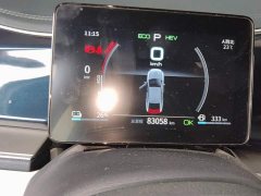 BYD Qin Plus DM-i 55KM Flagship - ფოტო 14
