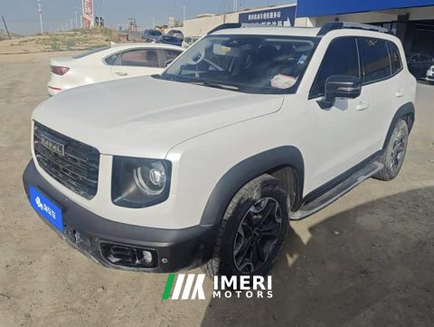 2021 Great Wall Dachshund 2.0T DCT Four-wheel Drive Howling Heavenly Dog Edition - ავტომობილი ჩინეთიდან