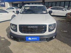 Great Wall Dachshund 2.0T DCT Four-wheel Drive Howling Heavenly Dog Edition - ფოტო 2