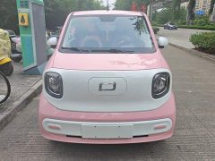 FAW Besturn Xiaoma 222km Dynamic Edition - ფოტო 2