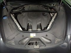 Porsche Panamera Facelift Panamera 2.9T Platinum Edition - ფოტო 10