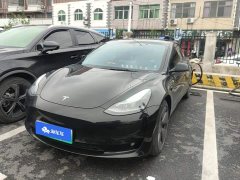 Tesla Model 3 Rear-Wheel Drive - ფოტო 1