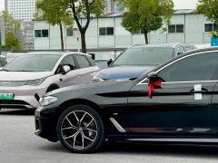 BMW 5 Series 530Li Luxury M Sport Package - ფოტო 16