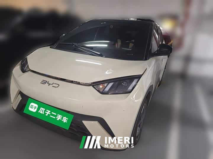 BYD Seagull Glory Edition 305km Freedom Version