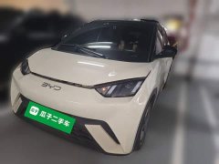 BYD Seagull Glory Edition 305km Freedom Version - ფოტო 1