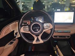 BYD Seagull Glory Edition 305km Freedom Version - ფოტო 11