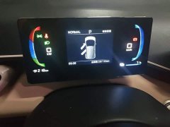 BYD Seagull Glory Edition 305km Freedom Version - ფოტო 12