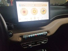 BYD Seagull Glory Edition 305km Freedom Version - ფოტო 14