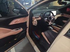 BYD Seagull Glory Edition 305km Freedom Version - ფოტო 17