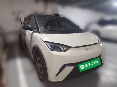 BYD Seagull Glory Edition 305km Freedom Version - ფოტო 3