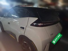 BYD Seagull Glory Edition 305km Freedom Version - ფოტო 4