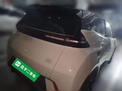 BYD Seagull Glory Edition 305km Freedom Version - ფოტო 6