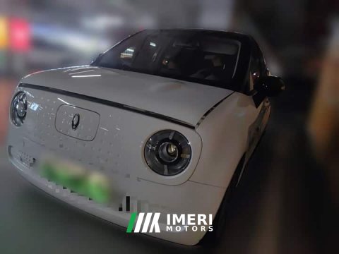 2021 ORA Black Cat 301km Base - ავტომობილი ჩინეთიდან