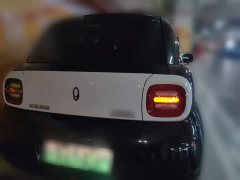 ORA Black Cat 301km Base - ფოტო 4