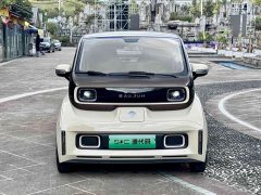 Wuling Baojun KiWi EV Designer Lite Edition Ternary Lithium - ფოტო 4