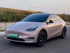 Tesla Model Y Rear-Wheel Drive - ფოტო 1