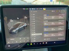 Tesla Model Y Rear-Wheel Drive - ფოტო 10