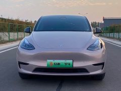 Tesla Model Y Rear-Wheel Drive - ფოტო 2
