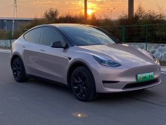 Tesla Model Y Rear-Wheel Drive - ფოტო 3