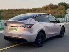Tesla Model Y Rear-Wheel Drive - ფოტო 4