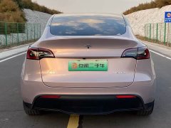 Tesla Model Y Rear-Wheel Drive - ფოტო 5