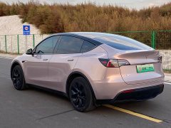Tesla Model Y Rear-Wheel Drive - ფოტო 6