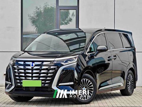 2025 Denza D9 DM-i 1050 Premium - ავტომობილი ჩინეთიდან